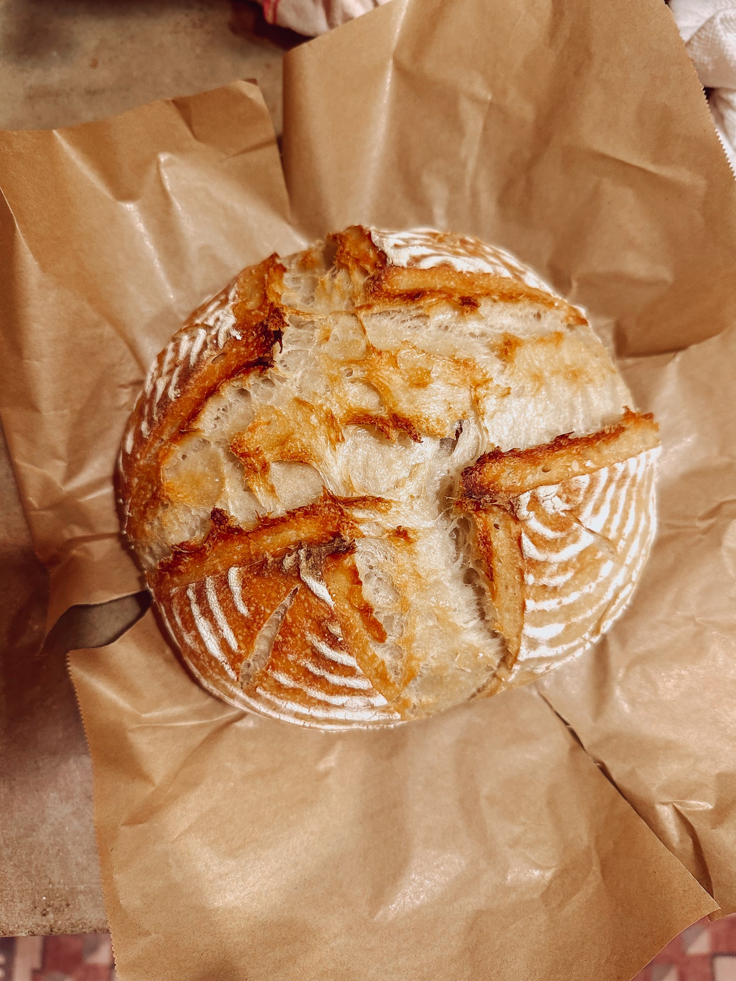 Organic Sourdough Artisan Loaf Bread