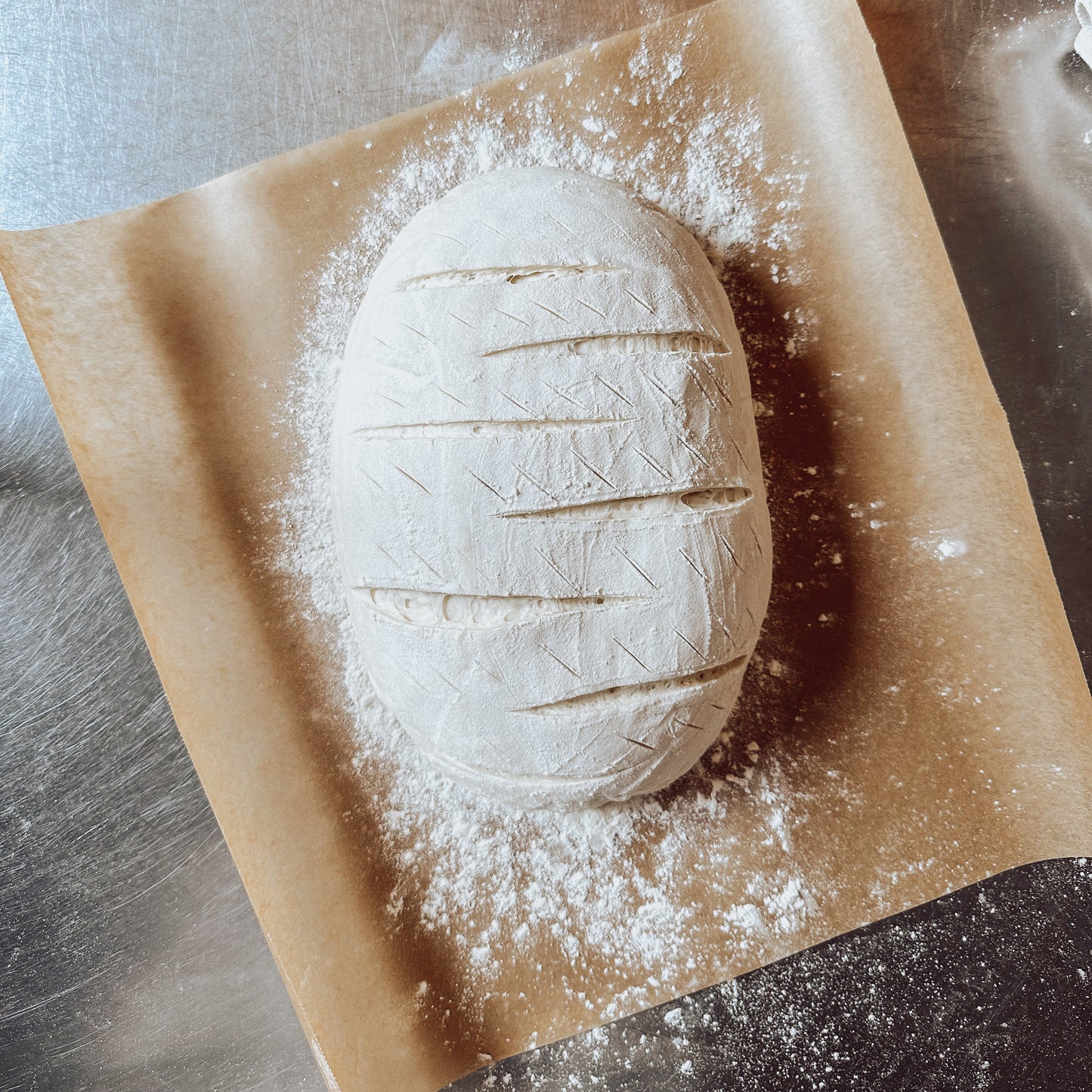 Organic Dehydrated Sourdough Starter Kit