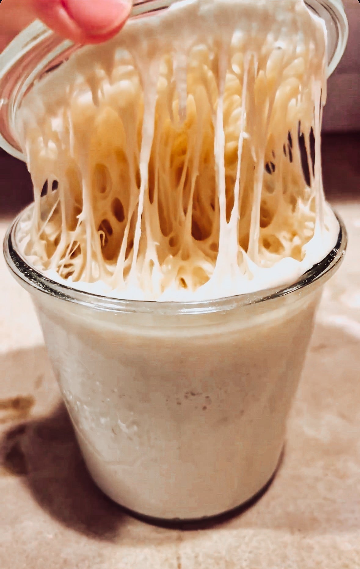 Organic Dehydrated Sourdough Starter Kit