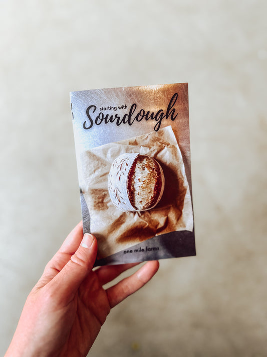 Sourdough Starter booklet