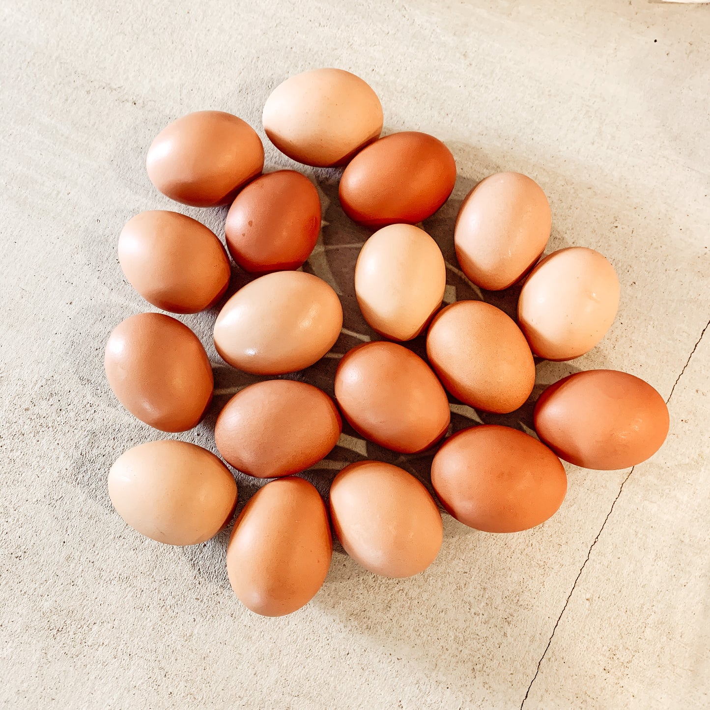 Pastured Raised Eggs - Local pickup + Delivery Only